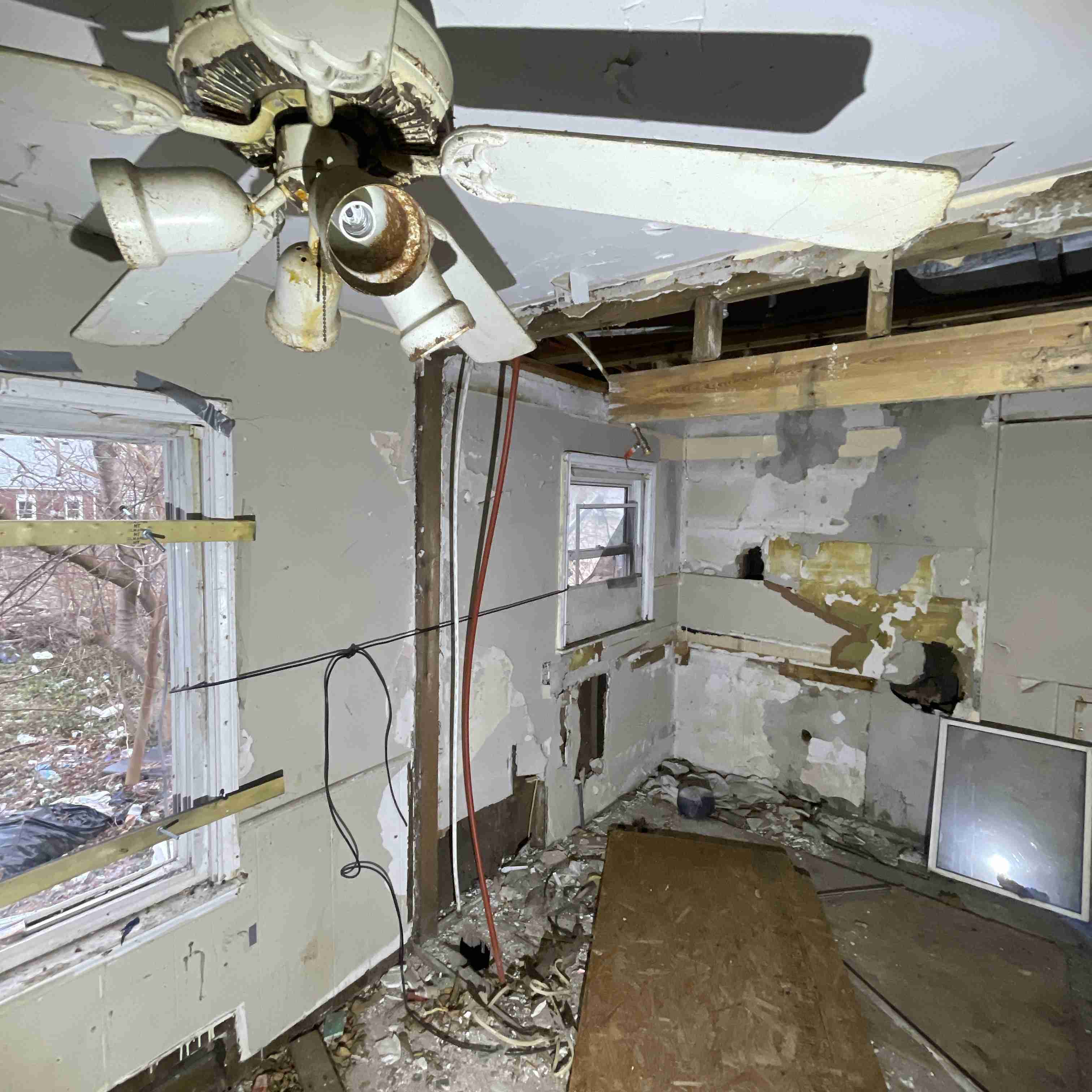 20017 Schoenherr (72).jpg